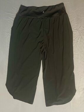 NWT HALARA Breezeful™ Lightweight Active Pants (XL Petite)